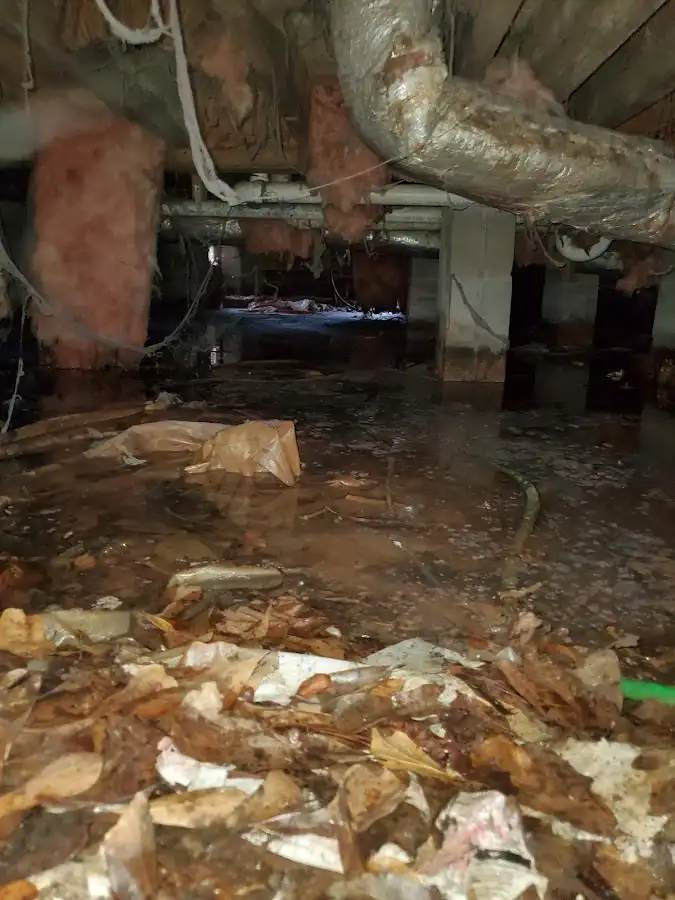 Crawl space flood assessment for Leak Detection & Repair in Yelm
